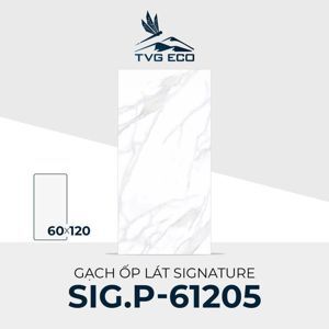 Gạch ốp lát vân đá trắng Signature SIG.P-61205