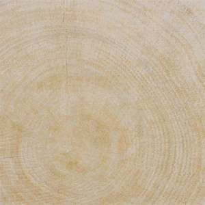Gạch ốp lát Vietceramics 60ABE