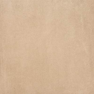 Gạch ốp lát Vietceramics 60BZZ610