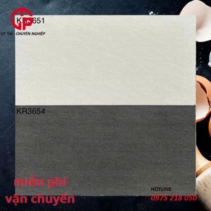 Gạch ốp lát Viglacera 30×60 KR3651