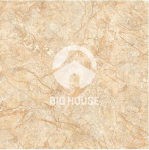 Gạch ốp men mờ TTC 30x30 FN33006