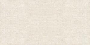 Gạch ốp men mờ TTC 30x60 WM36001