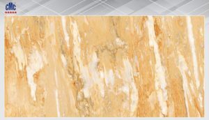 Gạch ốp tường 20×40 CMC DG 20403
