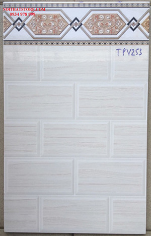 Gạch ốp tường 25x40 TPV253