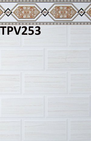 Gạch ốp tường 25x40 TPV253