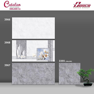 Gạch ốp tường 300x600 Catalan 3966