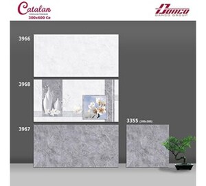 Gạch ốp tường 300x600 Catalan 3966