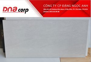 Gạch ốp tường 300x600 Viglacera bán sứ I3602