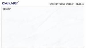 Gạch ốp tường 30×60 TTC Ceramic CB36041