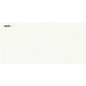 Gạch ốp tường 30×60 TTC Ceramic CB36005
