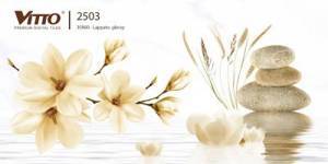 Gạch ốp tường 30×60 Vitto 2503