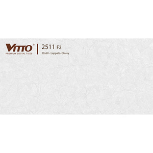 Gạch ốp tường 30×60 Vitto 2511