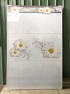 Gạch ốp tường 30x60 36005