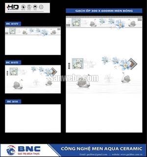 Gạch ốp tường 30x60 BNC 36107