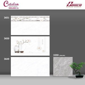 Gạch ốp tường Catalan 300x600mm 3649