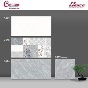 Gạch ốp tường Catalan 30x60 3643