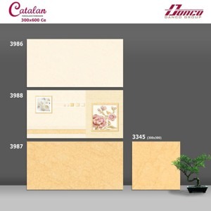 Gạch ốp tường Catalan 30x60 3986