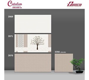 Gạch ốp tường Catalan 30x60 3969