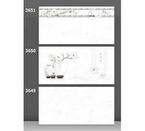 Gạch ốp tường Catalan 3649 300x600