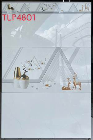 Gạch ốp tường Catalan 4801 - 40x80