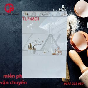 Gạch ốp tường Catalan 4801 - 40x80