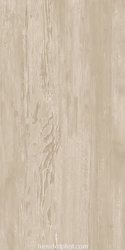 Gạch ốp tường Đồng Tâm 2560WOOD003