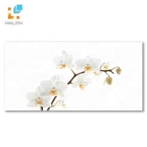 Gạch ốp tường Đồng Tâm D4080ORCHID001-H+ - 40x80