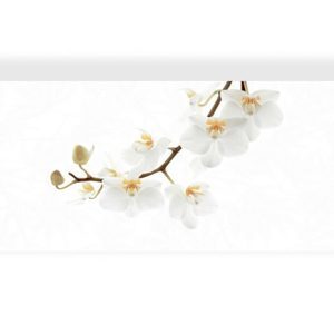 Gạch ốp tường Đồng Tâm D4080ORCHID001-H+ - 40x80