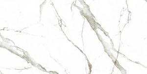 Gạch ốp tường Eurotile 60×120 SIG-P61206