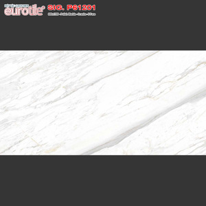 Gạch ốp tường Eurotile 60×120 SIG-P61201