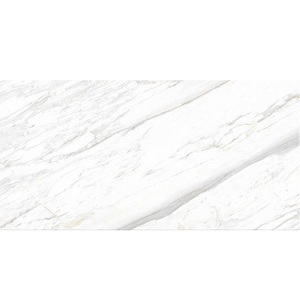 Gạch ốp tường Eurotile 60×120 SIG-P61201