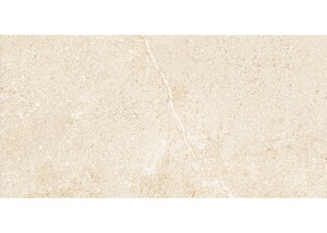 Gạch ốp tường Eurotile NGC G04 - 30x60