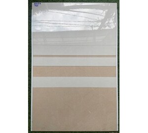 Gạch ốp tường giá rẻ 300x600 TQA-36204