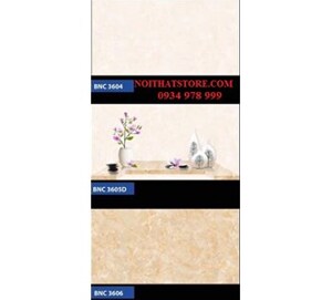 Gạch ốp tường giá rẻ 30x60 BNC 3606