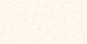 Gạch ốp tường Prime 30x60 8629