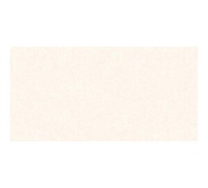 Gạch ốp tường Prime 30x60 9610