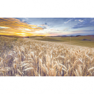 Gạch ốp tường Prime 30x60 9614