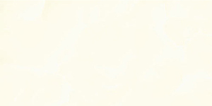 Gạch ốp tường Prime 30x60 9697