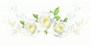 Gạch ốp tường Prime 30x60 9835