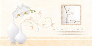 Gạch ốp tường Prime 30x60 9856