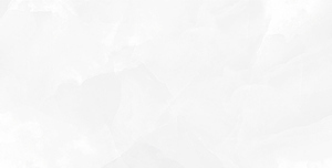 Gạch ốp tường Prime 30x60 9879