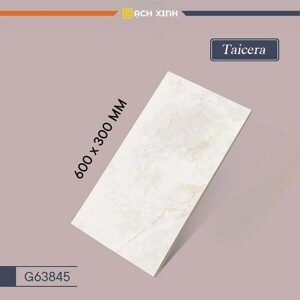 Gạch ốp tường Taicera 30×60 G63845