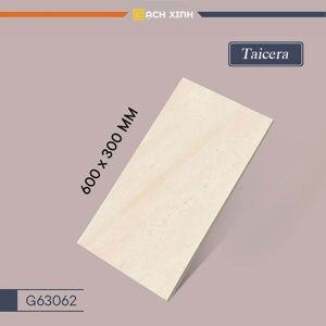 Gạch ốp tường Taicera 30×60 G63062