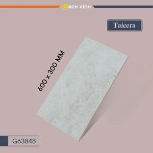 Gạch ốp tường Taicera 30×60 G63848