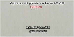 Gạch ốp tường Taicera G63938 - 30x60