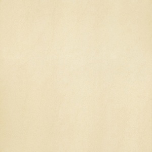 Gạch lát nền Taicera G68913 - 60x60