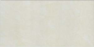 Gạch ốp tường Taicera W63006 - 30x60