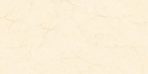Gạch ốp tường Tasa 4801 - 40x80