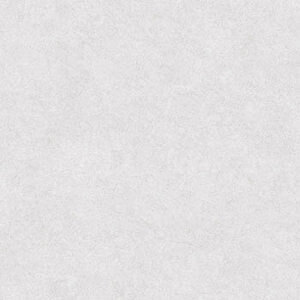 Gạch lát nền Tasa 6401 - 60x60