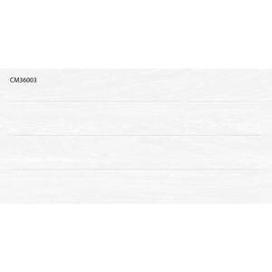 Gạch ốp tường TTC 30x60 CM36003-CM36004
